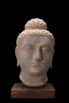 GANDHARAN SCHIST OVER THE LIFESIZE HEAD OF BUDDHA