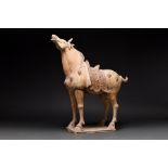 LARGE CHINESE TANG DYNASTY TERRACOTTA HORSE - TL TESTED