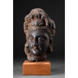 GANDHARAN DARK SCHIST HEAD OF BODHISATTVA