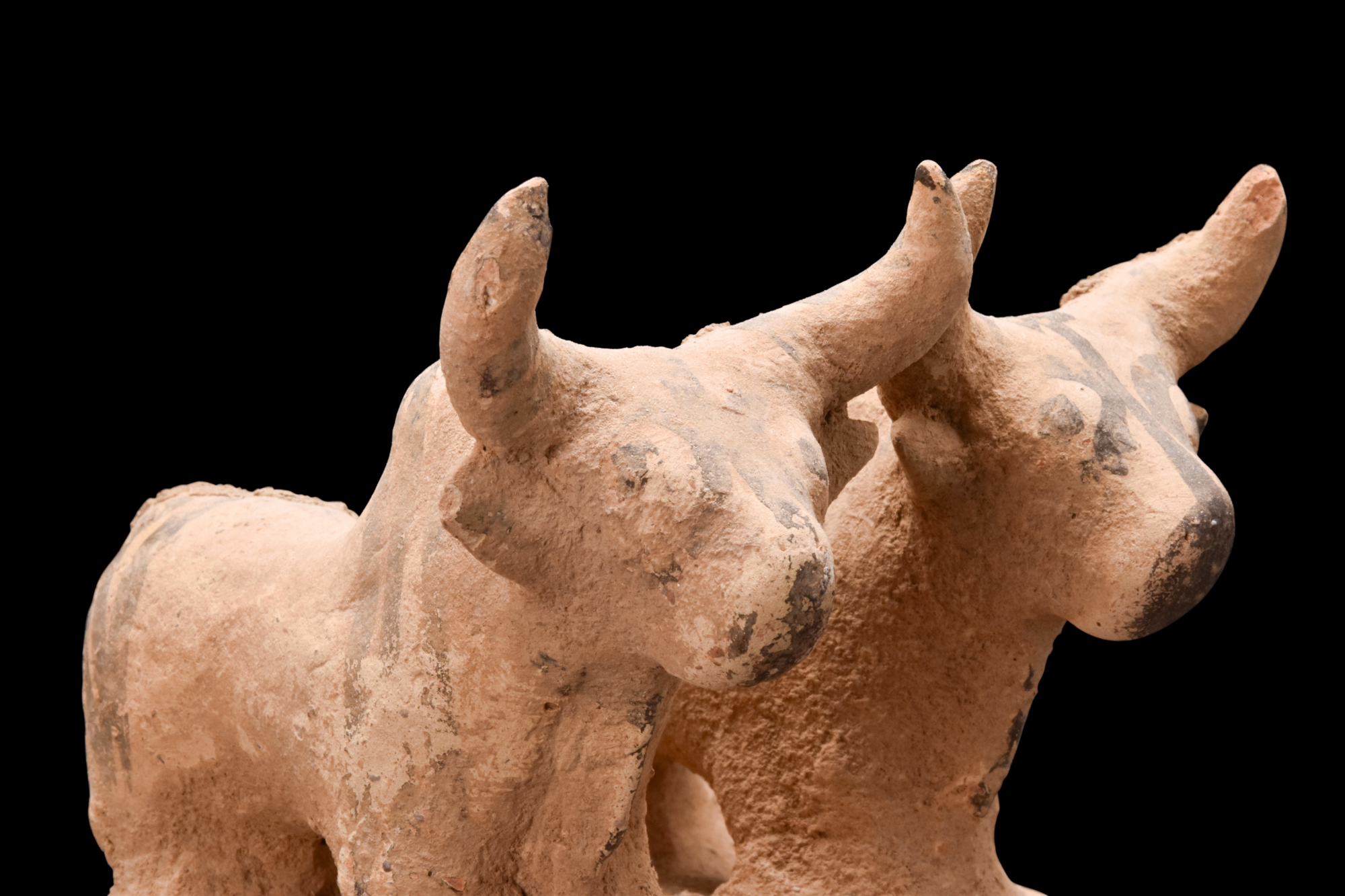 INDUS VALLEY TERRACOTTA PAIR OF BULLS - Image 8 of 8