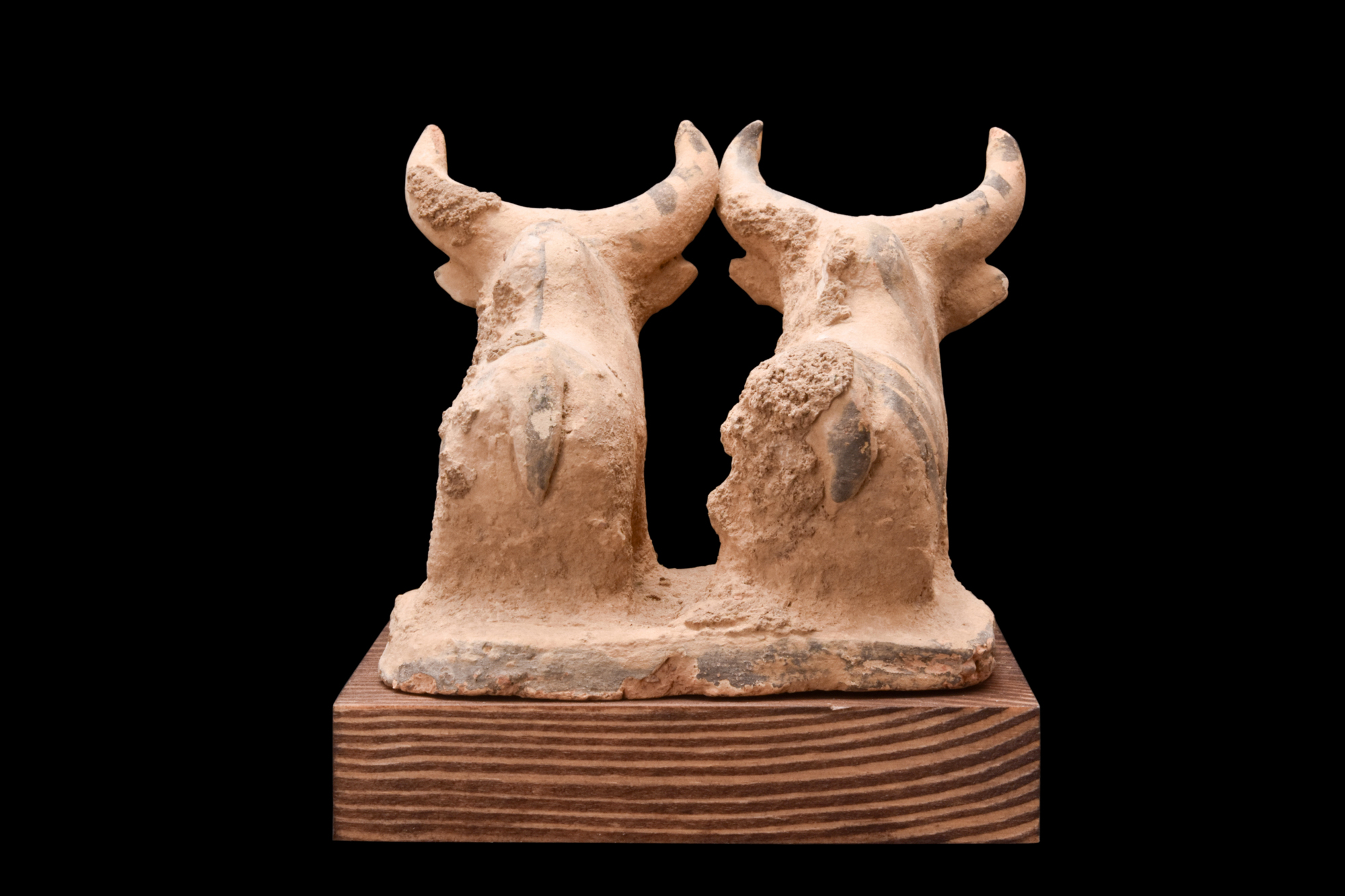 INDUS VALLEY TERRACOTTA PAIR OF BULLS - Image 7 of 8