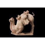 CHINESE TANG DYNASTY TERRACOTTA CAMEL - TL TESTED