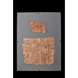 EGYPTIAN PAPYRUS FRAGMENTS WITH DEMOTIC TEXT