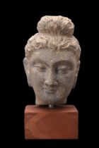 GANDHARAN SCHIST HEAD OF BUDDHA