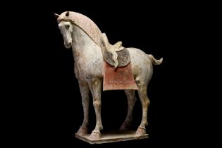 CHINESE TANG DYNASTY TERRACOTTA HORSE - TL TESTED