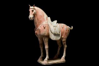 CHINESE TANG DYNASTY TERRACOTTA HORSE - TL TESTED