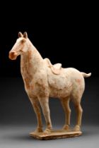 CHINESE TANG DYNASTY TERRACOTTA HORSE