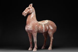 CHINESE HAN DYNASTY TERRACOTTA HORSE - TL TESTED