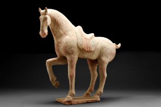 CHINESE TANG DYNASTY TERRACOTTA HORSE