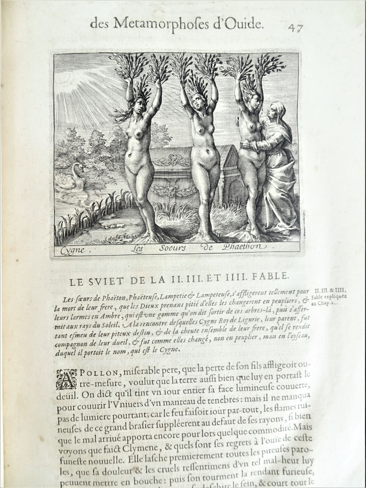 |Fables| Ovide, "Les Metamorphoses d'Ovide Traduits en Prose Françoise, et de nouveau - Image 15 of 23