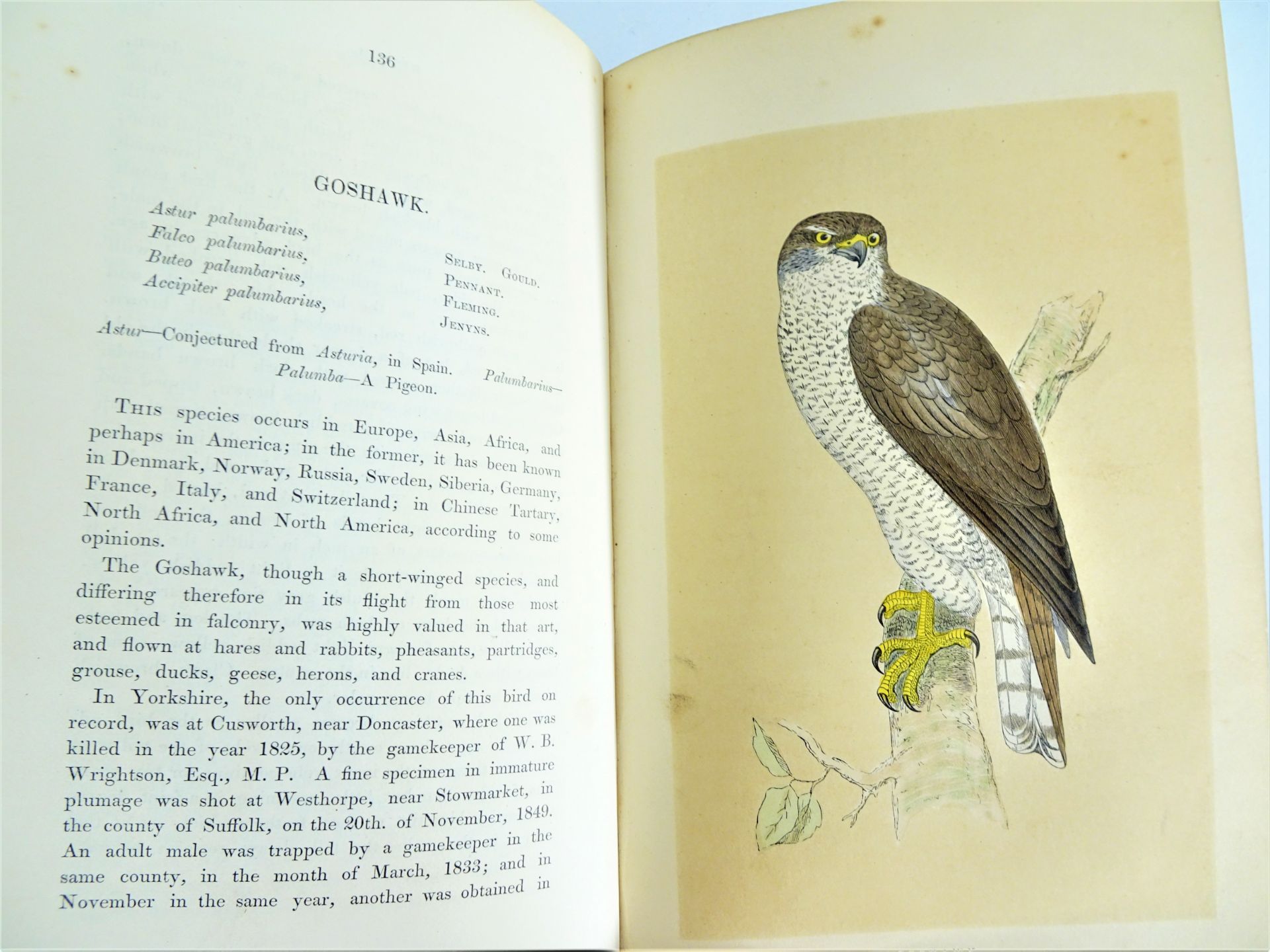 |Birds| Morris F.O., "A history of British birds", 1851-1857, first edition. London, Groombridge& - Image 4 of 12