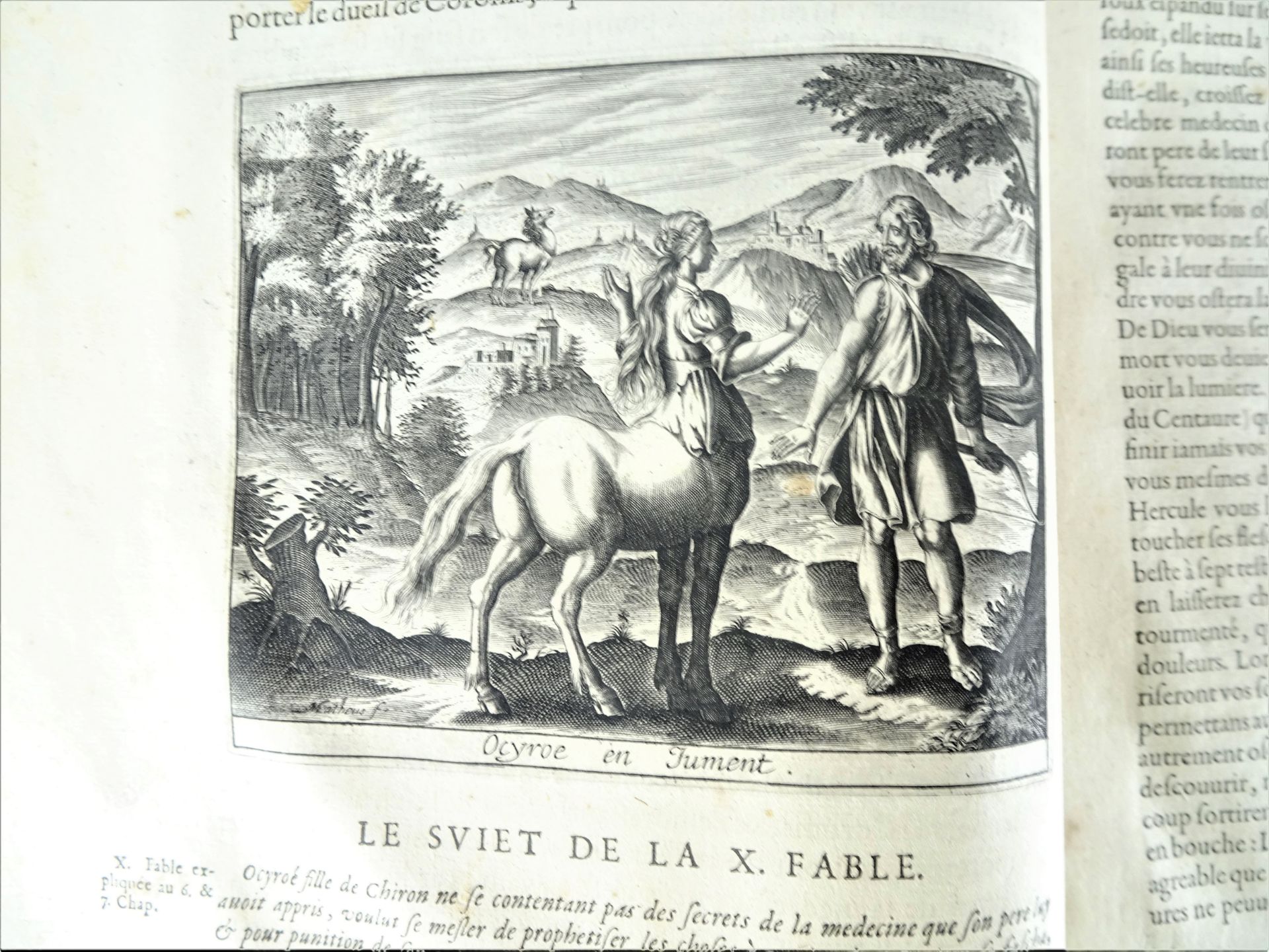 |Fables| Ovide, "Les Metamorphoses d'Ovide Traduits en Prose Françoise, et de nouveau - Image 17 of 23