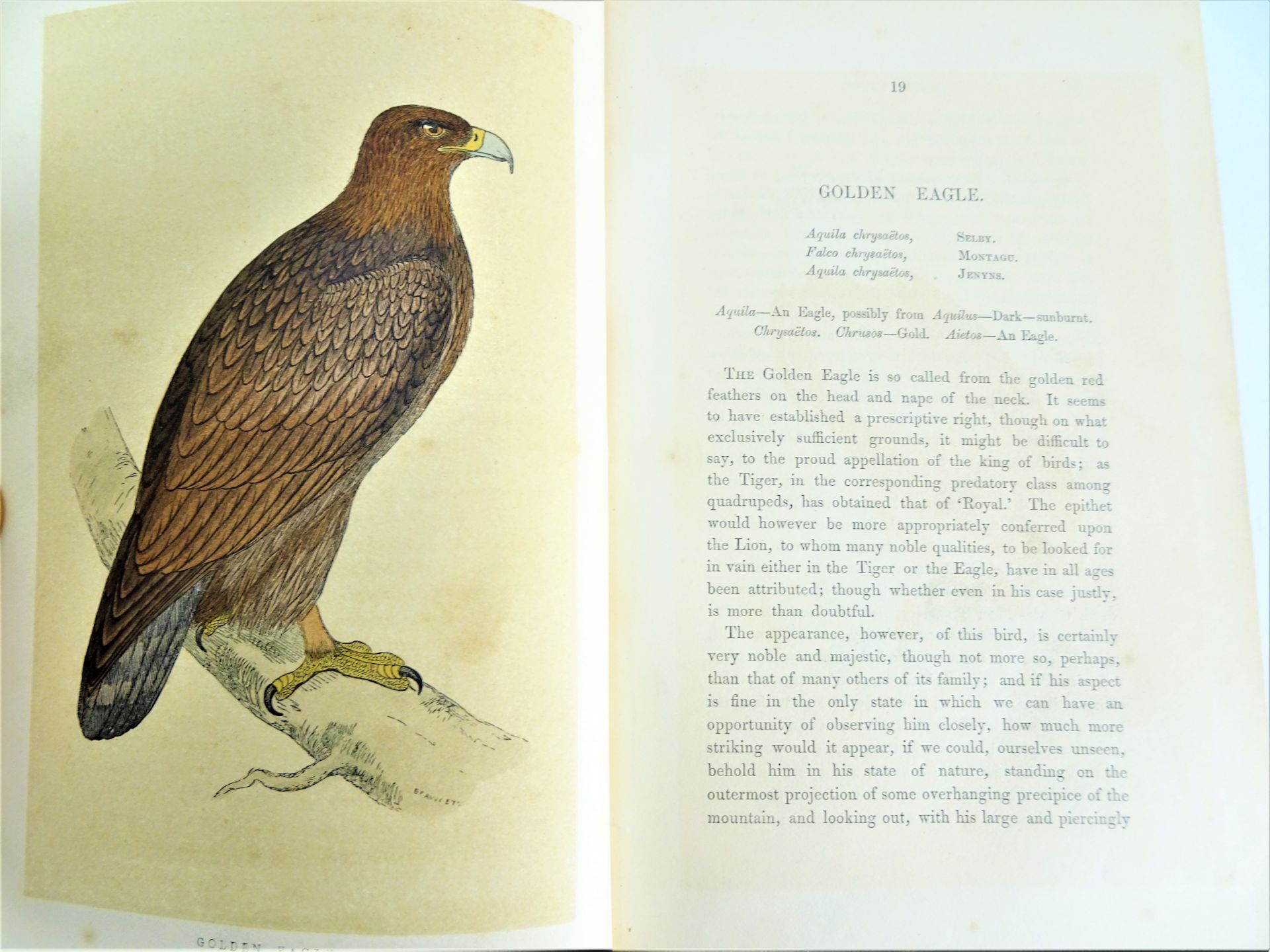 |Birds| Morris F.O., "A history of British birds", 1851-1857, first edition. London, Groombridge& - Image 3 of 12