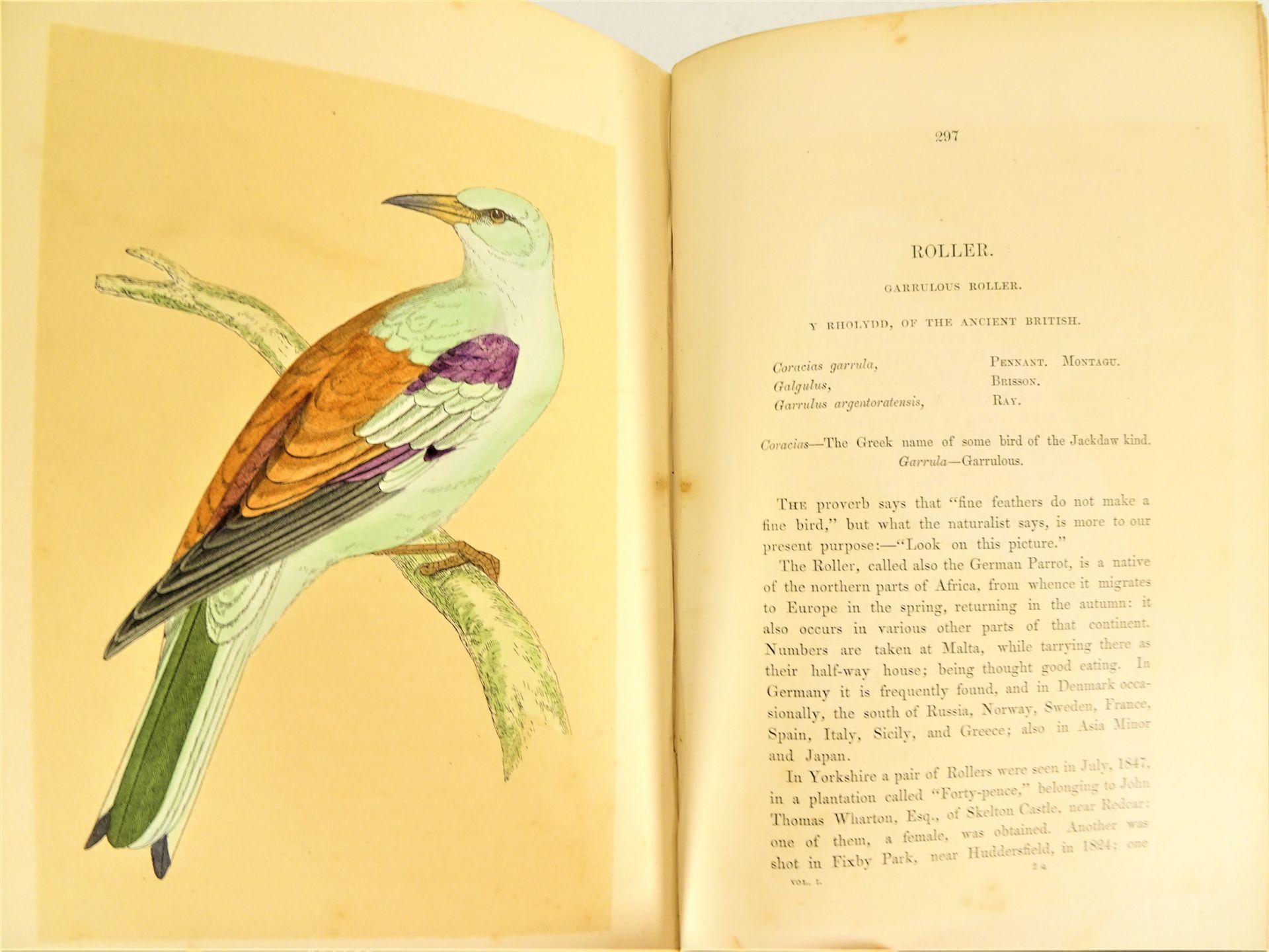 |Birds| Morris F.O., "A history of British birds", 1851-1857, first edition. London, Groombridge& - Image 9 of 12