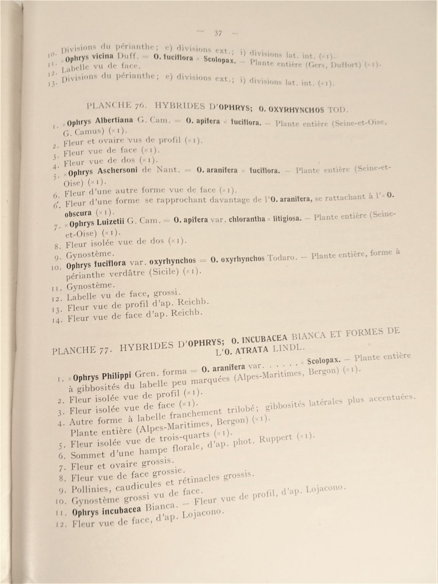 |Orchidaceae| E. G. Camus, "Iconographie des Orchidées d'Europe et du Bassin Méditerranéen", - Image 4 of 14