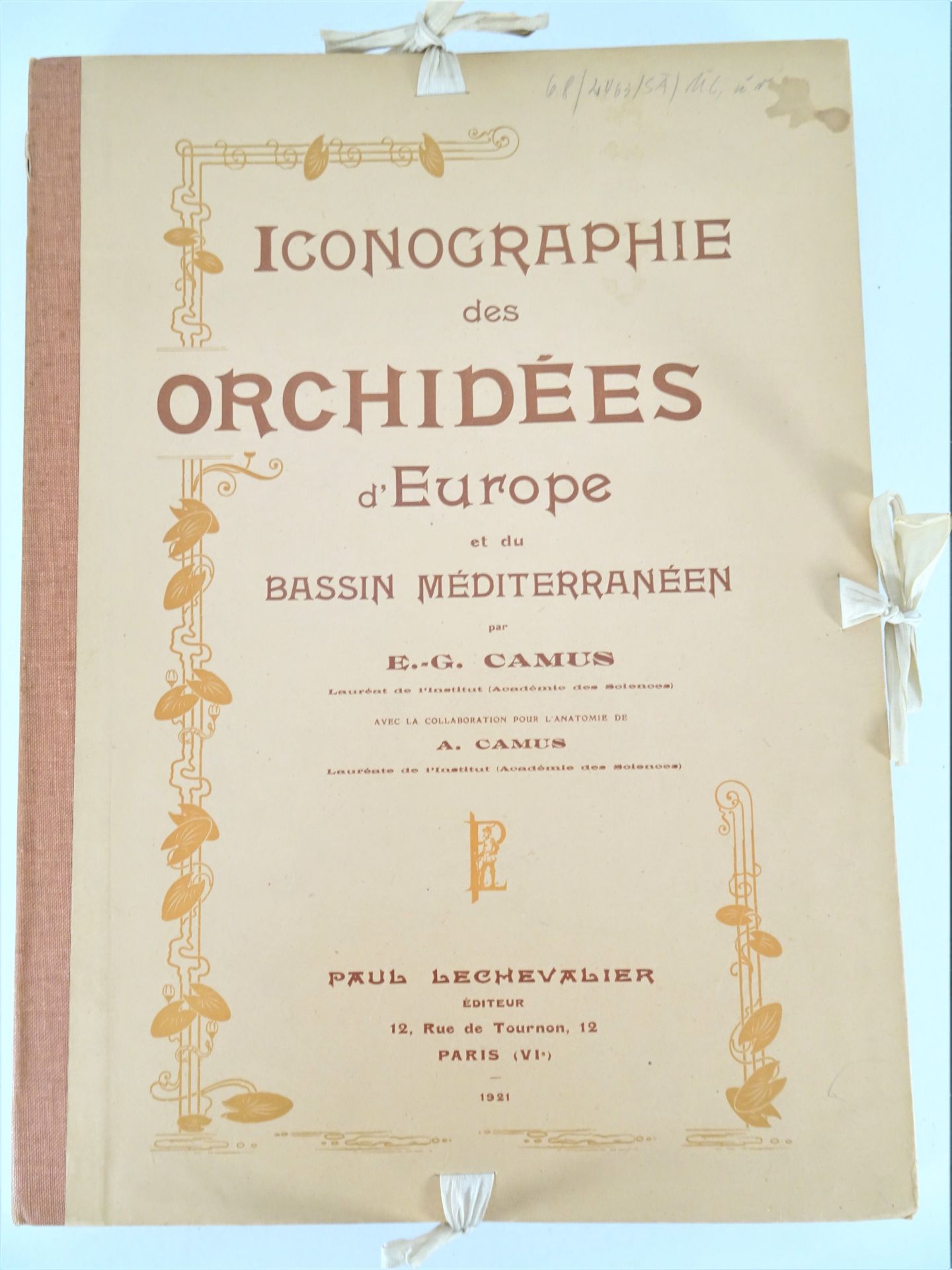 |Orchidaceae| E. G. Camus, "Iconographie des Orchidées d'Europe et du Bassin Méditerranéen", - Image 5 of 14