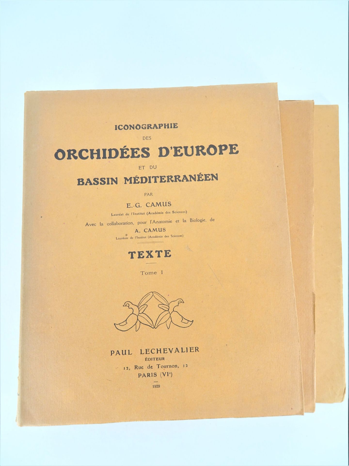 |Orchidaceae| E. G. Camus, "Iconographie des Orchidées d'Europe et du Bassin Méditerranéen",