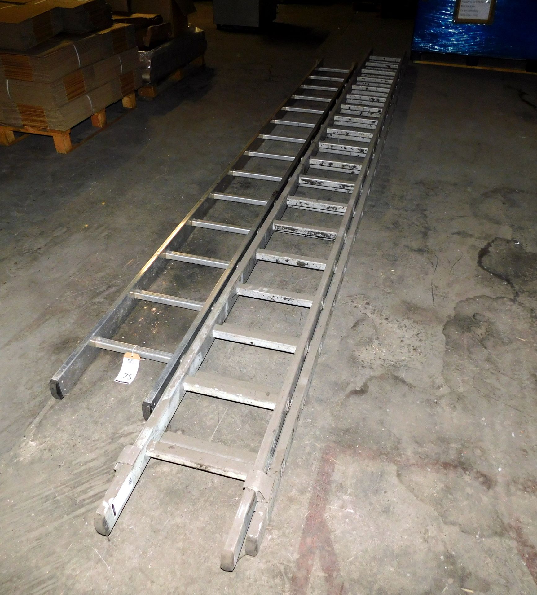 3 Aluminium Ladder Sections (Location: Warrington. Please Refer to General Notes)