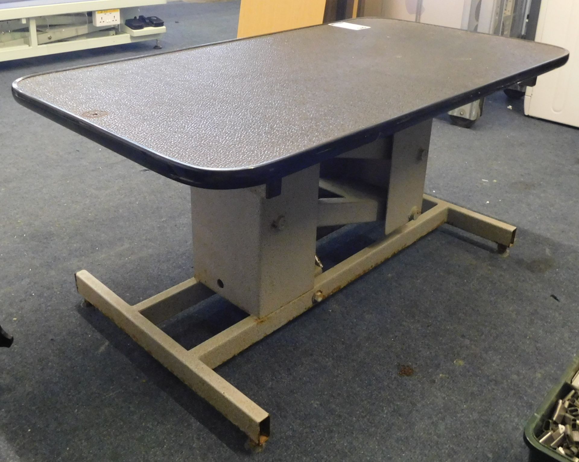Unbadged Dog Grooming Hydraulic Table (Location: Stockport. Please Refer to General Notes) - Image 4 of 5
