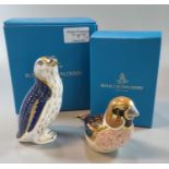 Two Royal Crown Derby bone china paperweights; 'Fairy penguin' and 'Hawfinch'. Both with gold
