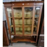 Edwardian mahogany inlaid display cabinet with under tier on square tapering legs. (B.P. 21% + VAT)