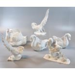 Collection of Crown Staffordshire fine bone china blanc de chine bird studies to include: pheasants,