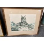 After Eric Tenney, study of a Lynx, signed by the artist in pencil. Monochrome print with