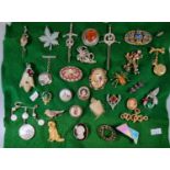 Tray of assorted Victorian and later pin brooches, various, including: grouse claw, micro mosaic,