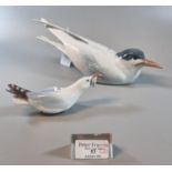 Royal Copenhagen porcelain 827 model of a tern, together with a 1080 Bing and Grondahl seagull