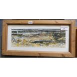 David Cowdry (Welsh contemporary), brown trout in a stream, signed and dated 2003. Watercolours. 9.