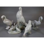 Collection of five Nao Spanish porcelain bird figurines: Dove, Swans etc. (5) (B.P. 21% + VAT)