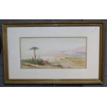 F Calano, Middle Eastern scene, signed. Watercolours. 23x50cm approx. Framed and glazed. (B.P. 21% +