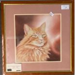 Naomi Tydeman RI (Welsh 20th century), study of a ginger cat, signed in pencil. Watercolours.