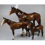 Beswick racehorse, brown gloss finish. Together with a Beswick Exmoor pony model 1645 and a