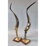 A pair of horn studies of cranes on wooden bases. 42cm high approx. (2) (B.P. 21% + VAT)
