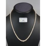 String of graduated cultured pearls with 9ct gold clasp. Cased. (B.P. 21% + VAT)