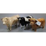 Three Beswick bulls to include: a Highland cattle, Friesian and Charolais. Printed marks to