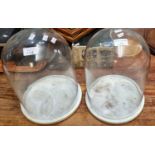 Pair of glass domes on circular marble bases. 33cm high approx. (2) (B.P. 21% + VAT)