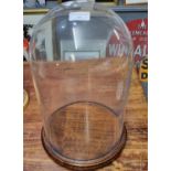 Glass dome on mahogany wooden turned circular base. 42cm high approx. (B.P. 21% + VAT)