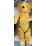 Mid century mechanical musical mohair teddy bear with glass eyes, stitched nose and moveable
