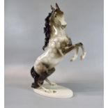 Modern Royal Dux 881 rearing grey stallion with pink triangle and original gold sticker. 30cm high