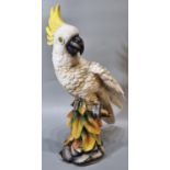Mid century ceramic probably continental study of a yellow crested Cockatoo perched on a branch