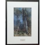 Guillaume Vogels (Belgian 1836-1896), atmospheric misty woodland scene, signed, watercolours. 40 x