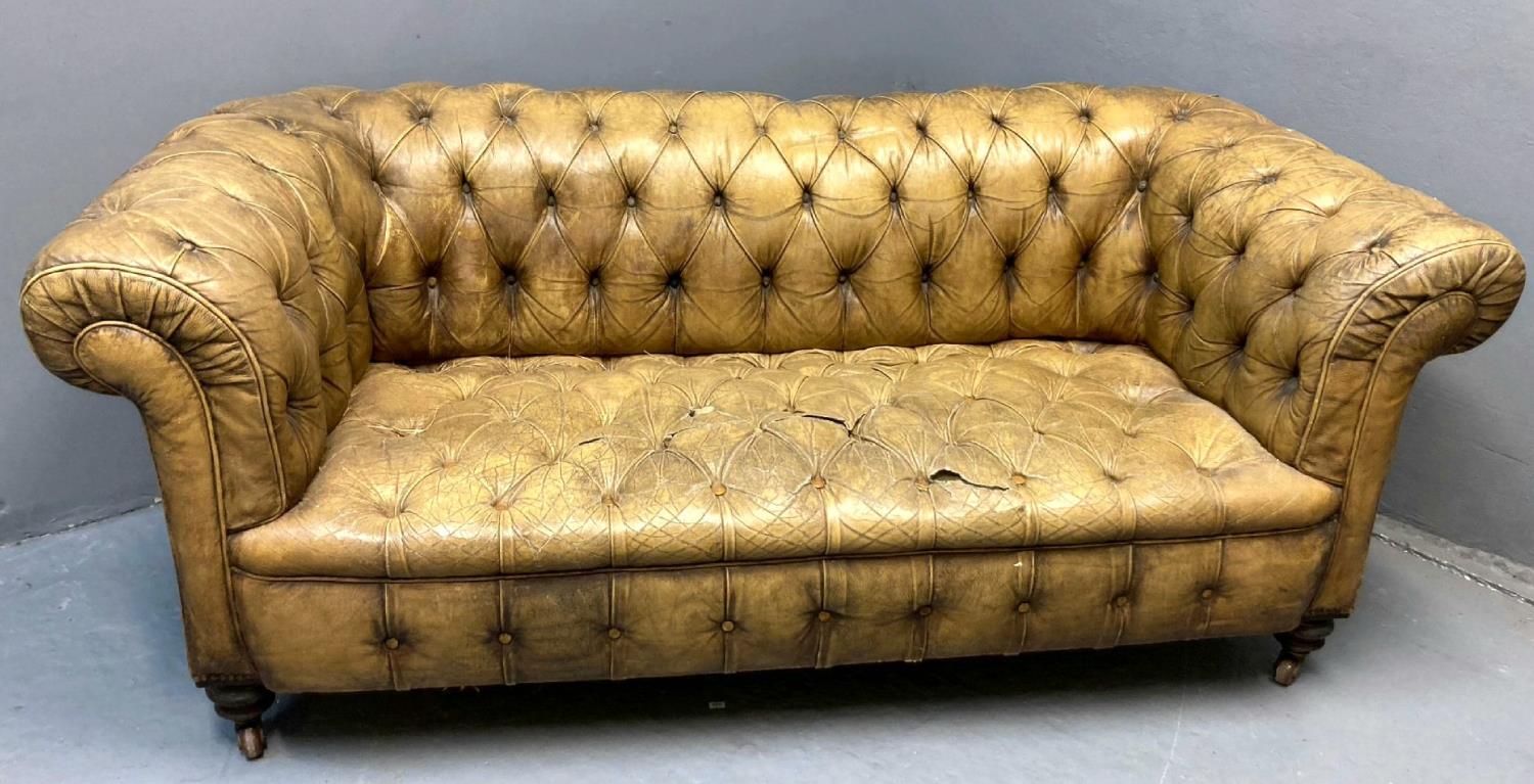 Late 19th/early 20th century tan leather button back Chesterfield style sofa, having scroll arms