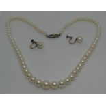 A graduated cultured pearl necklace with pearl set clasp. Length 15 inches. Together with a pair