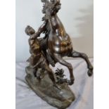 After Guillaume Coustou (1677-1746), bronze Marley Horse with Groom, on a naturalistic base. 56cm