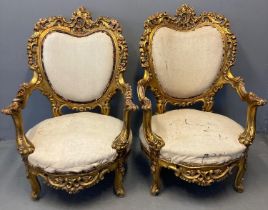 Pair of French style Rococo giltwood open arm salon chairs on large circular stuff over seats