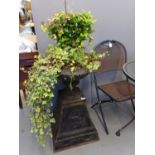 Cast iron garden Campana shaped urn with trailing plants, standing on a cast iron classical design