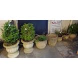 A collection of garden baluster and urn shaped fluted planters, mostly containing plants. (7)(B.P.