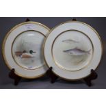 Royal Doulton hand painted porcelain cabinet plate of Grayling swimming amongst reeds,